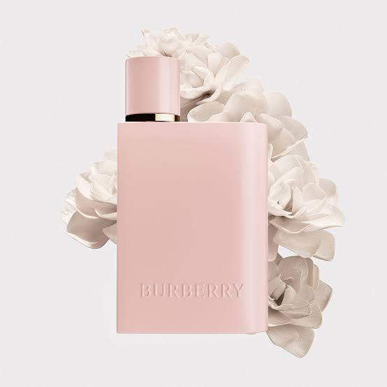 Burberry her